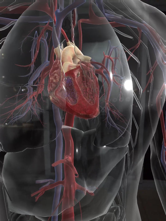 Heart Sounds ? Are they in your arsenal ?